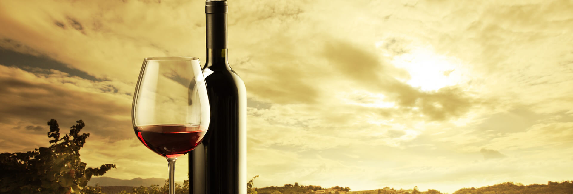 Fornitura vino privati e ristoranti